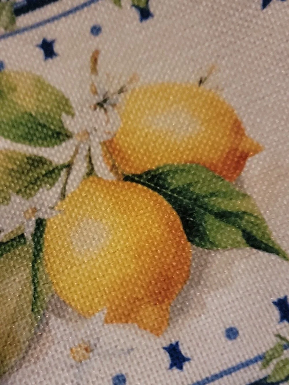Canvas Lemon Print Cosmetic Bag with Blue Floral Border